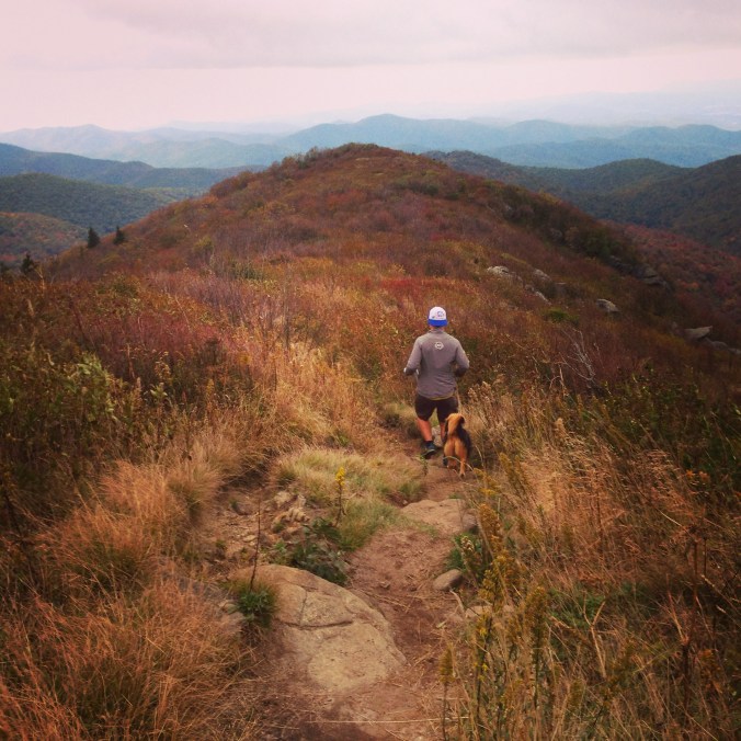Art Loeb Trail, Tennent mountain near Black Balsam Knob in Shining Rock Wilderness, Trail Running
