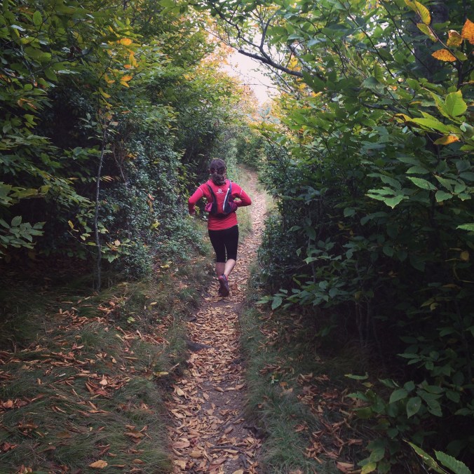 Art Loeb Trail to Shining Rock Wilderness