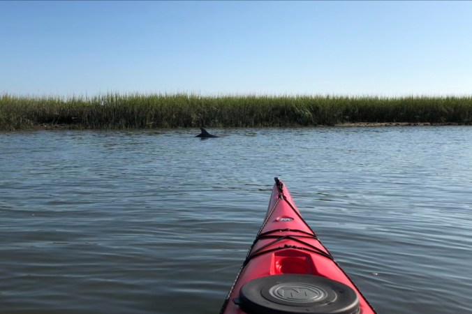 dolphin dorsal fin on Broad Creek Hilton Head Island